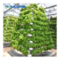 Vertikale NFT -System PVC Rohre Treibhauskits